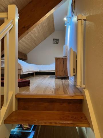 Appartement Style Chalet A Saint Lary Soulan. المظهر الخارجي الصورة